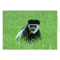 cheeky monkey cards by Libby cheeky monkey cards