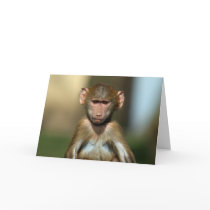 Cheeky Monkey - Cute Baby Baboon Card by Digital_Wallpapers Cheeky Monkey - Cute Baby Baboon Card