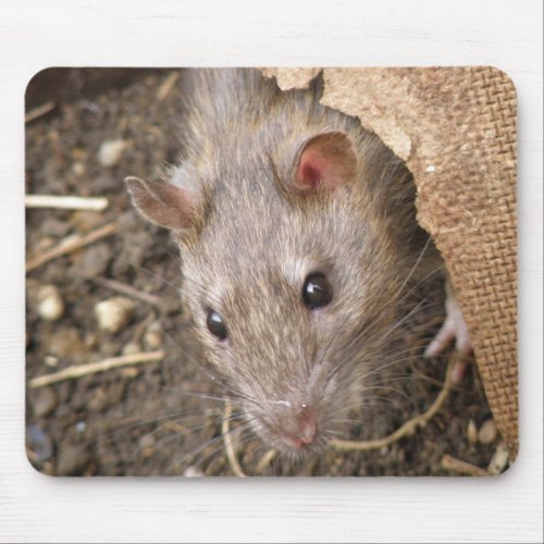 Cheeky Rat Mousepad mousepad