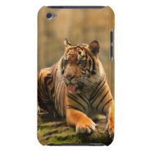 Cheeky Tiger Case-Mate iPod Touch Case