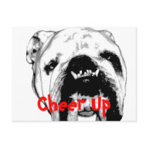 Cheer Up postcards