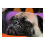 Cheer-up! Pug Greeting Card