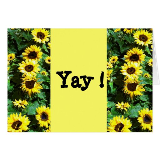 Cheerful Cheers Congratulations Greeting Card | Zazzle