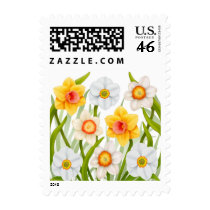 Cheerful Spring Daffodils Postage