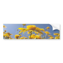 Cheerful Yellow Flowers Bumper Stickers
