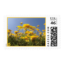 Cheerful yellow flowers postage