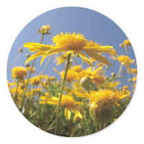 Cheerful Yellow Flowers Round Sticker