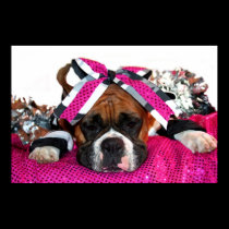 Cheerleader Boxer dog poster posters