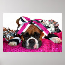 Cheerleader Boxer dog poster