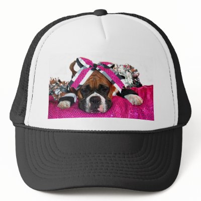 Boxer Hat