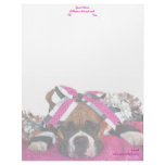 Cheerleader Boxer letterhead