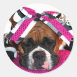 Cheerleader Boxer stickers