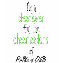 Cheerleader for the Cheerleaders t-shirts by pridecheer Cheerleader for the Cheerleaders t-shirts
