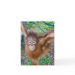Cheerleader : Team Orangutan Cards