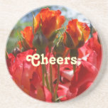 Cheers sandstone coasters Red Roses Holidays