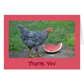 Chicken Thank You Cards | Zazzle