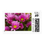 Cheery Daisies Postage Stamp