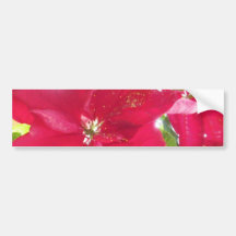 Cheery Pointsetta with Gold Glitter Bumper Stickers