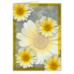 Cheery Yellow Daisies Greeting Card