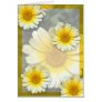 Cheery Yellow Daisies