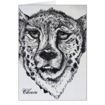 Cheeta cards