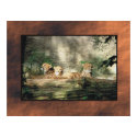Cheeta posters by rockyj Cheeta posters