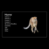 Cheeta Profile Card business cards