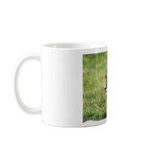 Cheetah1065 Coffee Mugs