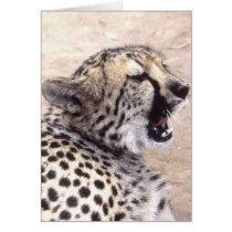 Cheetah5 Greeting Cards