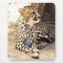 Cheetah6 Mousepad