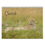 Cheetah 2008 wall calendars
