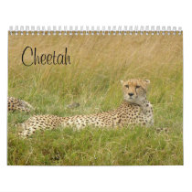 Cheetah 2008 calendars