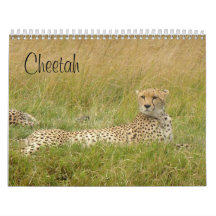 Cheetah 2008 wall calendars