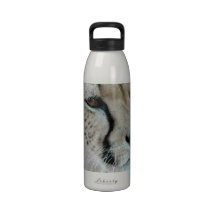 cheetah-23 water bottles