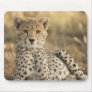 Cheetah, Acinonyx jubatus, cub laying downin Mouse Pads