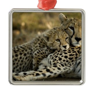 Cheetah, Acinonyx jubatus, with cub in the Masai 2 Christmas Tree Ornaments