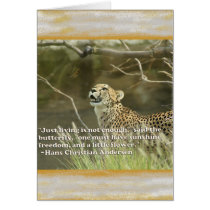 CHEETAH AND BUTTERFLY cards
