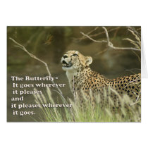 CHEETAH AND BUTTERFLY cards
