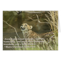 CHEETAH AND BUTTERFLY cards