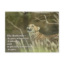 CHEETAH AND BUTTERFLY postcards