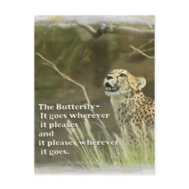 CHEETAH AND BUTTERFLY postcards