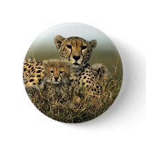 Cheetah and Cub Pins