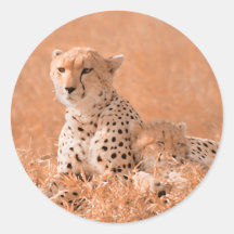 Cheetah and cub wildlife art stickers