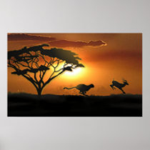 Cheetah and Gazelle Poster