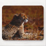 Cheetah and God Mousepads