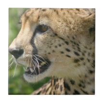 Cheetah Attack Tile