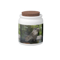 cheetah-b-1 candy jars