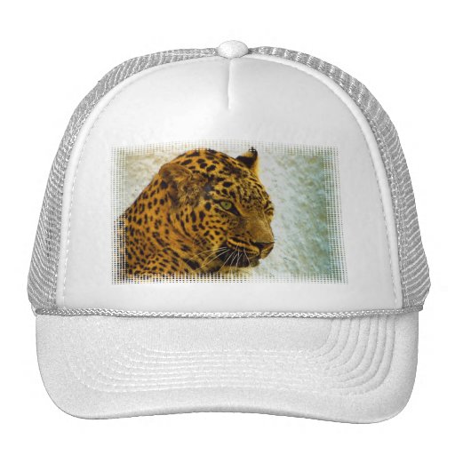 Cheetah Baseball Cap Hats