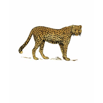 Cheetah Big Cat Wild animals Tees T Shirts by Funkart