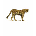 Cheetah Big Cat Wild animals Tees t-shirts